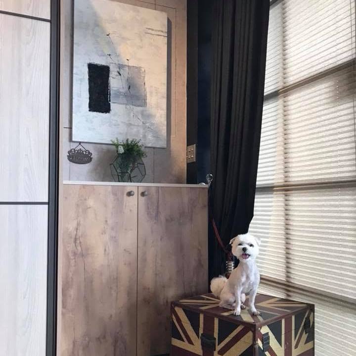 高森系統空間室內設計