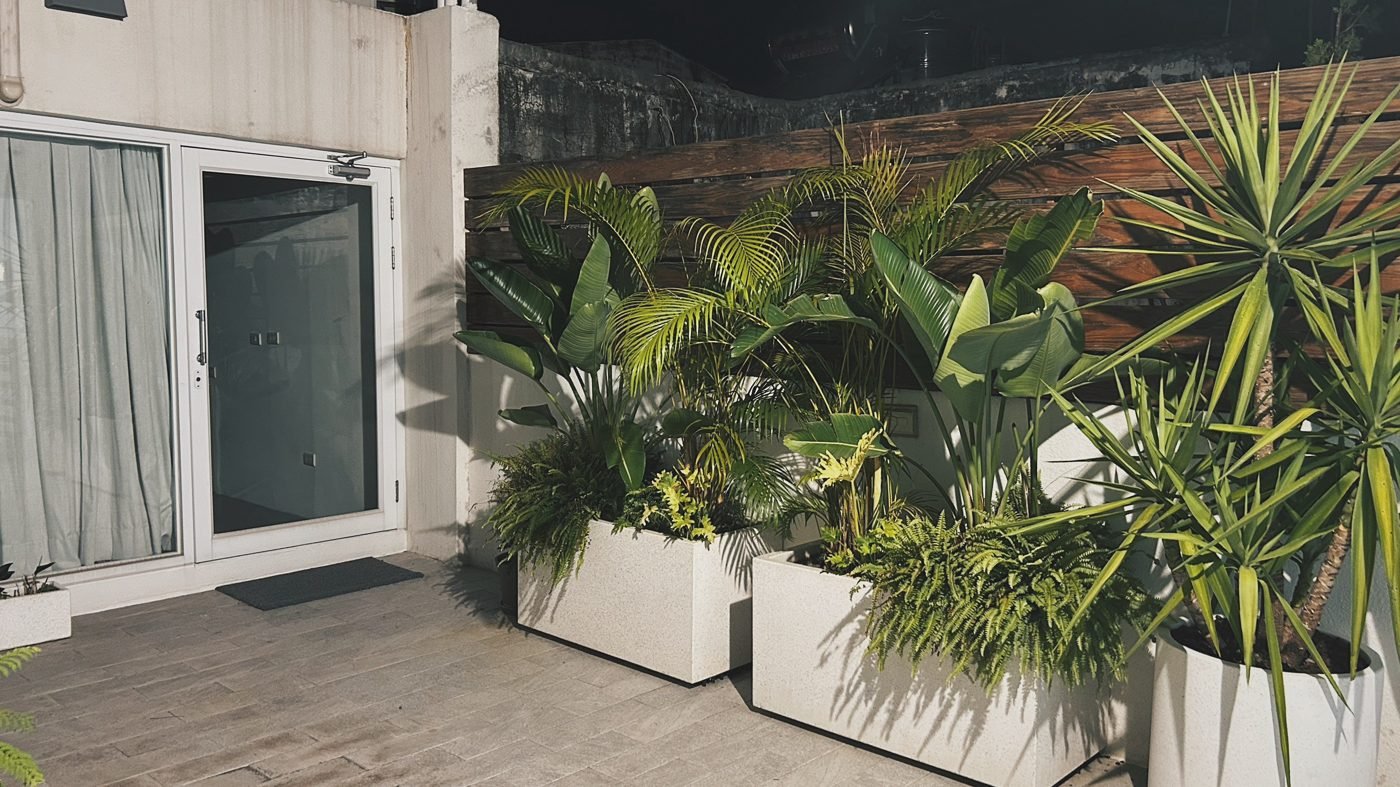 伏流美學 Flow Spa 入口綠植中庭